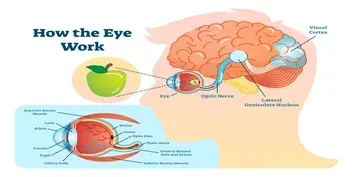 Blindness_73a33771cf